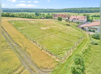 Reitanlage in Bayern mit historischem Wohnhaus und gepflegten Trainingsbedingungen!