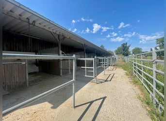 Reitanlage in Bayern mit mehreren Wohneinheiten und Hallen zu verkaufen!