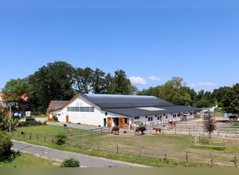 Reitanlage in Dannenberg (Elbe) in Niedersachsen – sanierter Hof & Wohnhaus mit Potenzial!