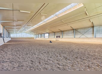 Reitanlage in Lonnig zu verkaufen – in Mitten des Sonderbaugebietes “Wohnen mit Pferden”