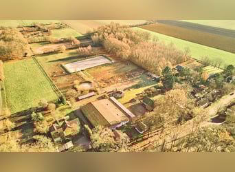Reitanlage in Niedersachsen (Landkreis Uelzen) mit Wohn- und Gästehaus zu verkaufen!