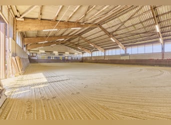 Reitanlage in NRW Nähe Münster zu verkaufen – Modernes Landhaus, Reithalle, Springplatz und Co.