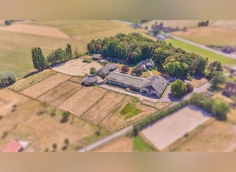 Reitanlage in NRW Nähe Münster zu verkaufen – Modernes Landhaus, Reithalle, Springplatz und Co.