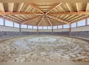 Reitanlage in NRW Nähe Münster zu verkaufen – Modernes Landhaus, Reithalle, Springplatz und Co.