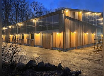 Reitanlage kaufen im Landkreis Cuxhaven – Gutshaus, Reithalle, Wald und 10,5 ha Land