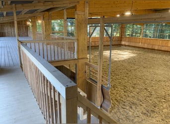 Reitanlage kaufen im Landkreis Cuxhaven – Gutshaus, Reithalle, Wald und 10,5 ha Land