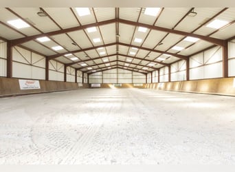 Reitanlage mit außergewöhnlichem Potenzial