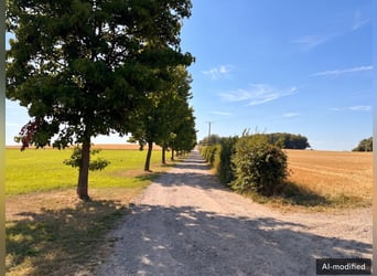 Reitanlage mit Reithalle und Außenreitplatz in Panoramalage - Landkreis Osnabrück