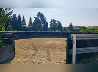 Reitanlage mit vielfältigem Entwicklungspotenzial nahe Berlin