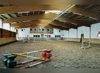 Reitanlage mitten in Deutschland