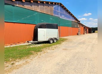 Reiterhof mit Zucht und Aufzucht - Pferd, Pferde, Pferdebetrieb, Pension, Pensionsbetrieb, Reithof