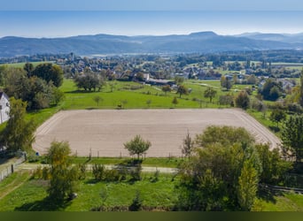 Reitsportanlage an Südlage
