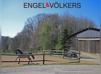 Reitsportanlage mit hochwertigem und modernem Einfamilienhaus und fünf Hektar Land