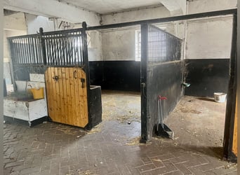 Resthof mit freistehendem Gutshaus Resthof mit freistehendem Gutshaus