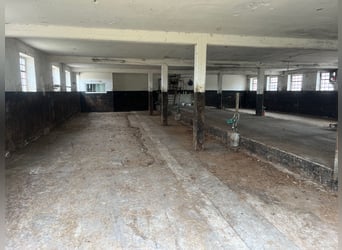 Resthof mit freistehendem Gutshaus Resthof mit freistehendem Gutshaus