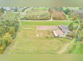 Ruhig gelegener Pferdehof in Lorsch an der Bergstraße mit romantischem Holzhaus!