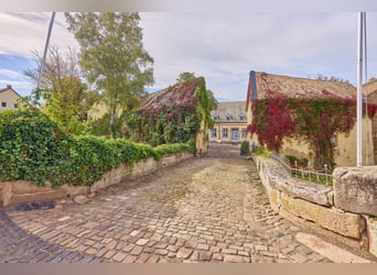 Schloss zu verkaufen in Rheinhessen mit eigener Reitanlage und Event-Location!