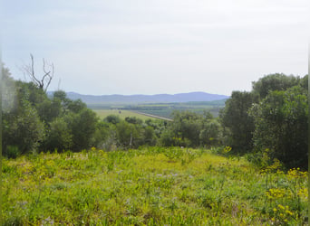 Schöne Finca mit besonderem Charme