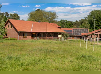 Schöner Landsitz für Pferdeliebhaber