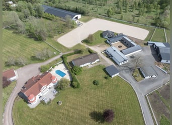 Springfield Farm – An Exclusive Property with International Potential, 18 ha