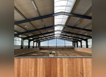 Stalltrakt zu verpachten in Herzlake Emsland