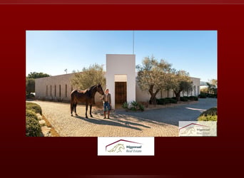 Stilvolles Wohnen mit erstklassige Reitanlage In Algarve Portugal