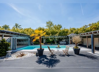 THE RANCH ist mehr als nur ein Zuhause – und weit mehr als ein klassischer Reiterhof