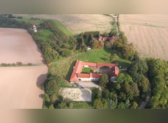 Traumhaft schöner Landsitz mit eigenem Wald, Reiterhof u.v.m. in ruhiger Lage mit guter Anbindung