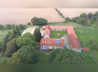 Traumhaft schöner Landsitz mit eigenem Wald, Reiterhof u.v.m. in ruhiger Lage mit guter Anbindung