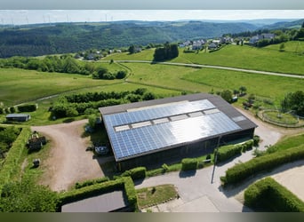 Traumhafte große Reitanlage in Panorama-Lage zwischen Trier und Luxemburg
