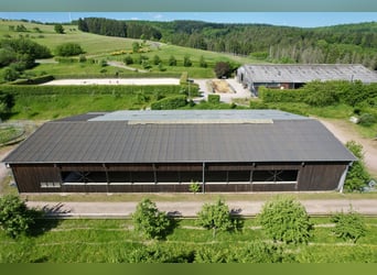 Traumhafte große Reitanlage in Panorama-Lage zwischen Trier und Luxemburg