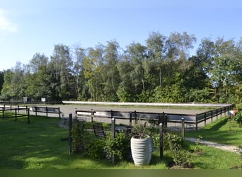 Traumhaftes saniertes Einfamilienhaus mit Pferdeboxen, Reitpaltz, Weiden ( 8ha Land) in Alleinlage 