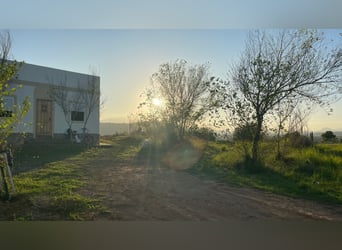 Unique Off-Grid Mountain Home With 360° Panoramic Views and Full Equestrian Facilities 