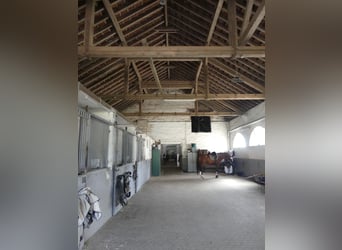 Vergabe der Reitsportanlage Monaise im Erbbaurecht