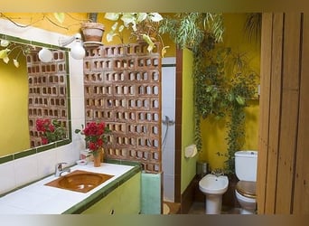 VERY NICE PROPERTY IN THE SOUTH OF SPAIN. NEAR SEVILLA .
