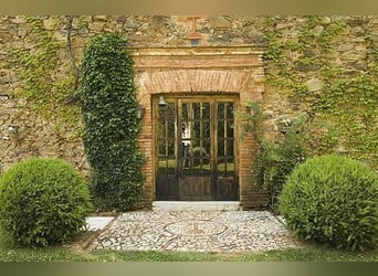 VERY NICE PROPERTY IN THE SOUTH OF SPAIN. NEAR SEVILLA .