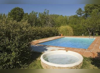 VERY NICE PROPERTY IN THE SOUTH OF SPAIN. NEAR SEVILLA .