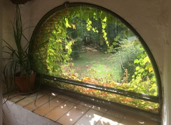 VERY NICE PROPERTY IN THE SOUTH OF SPAIN. NEAR SEVILLA .