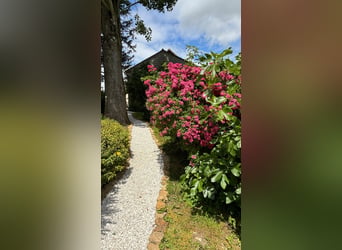 Vielseitig talentierte Reitsportstruktur im Herzen der Brie