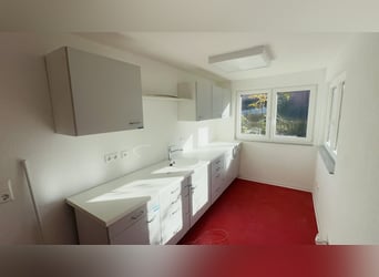 Vielseitiges Pferde- und Wohnensemble mit Ausbaupotenzial - Ideal für Tierklinik, Reitanlage uvm.