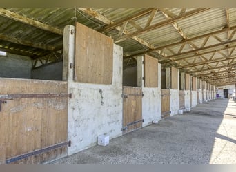 Vielseitiges Reiterhof mit zahlreichen Nutzungsmöglichkeiten