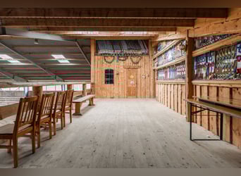 Welcome to this unique and thoughtfully designed equestrian property in Sweden 7,2 ha