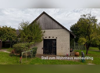 Wohnhaus mit Pferdestall und Weideflächen in Hamminkeln-Brünen