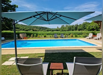 Wunderschiges Anwesen in Südfrankreich mit drei Häusern, beheiztem Pool und 2,2 Hektar Land für Pfer