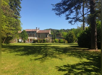 Wunderschiges Anwesen in Südfrankreich mit drei Häusern, beheiztem Pool und 2,2 Hektar Land für Pfer