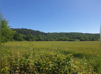 Wunderschiges Anwesen in Südfrankreich mit drei Häusern, beheiztem Pool und 2,2 Hektar Land für Pfer