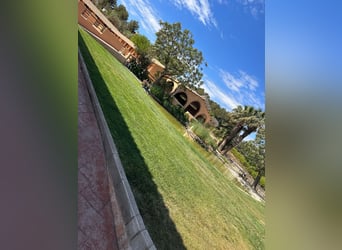 WUNDERSCHÖNE, HOCHWERTIGE REITANLAGE MIT EXCLUSIVER VILLA & VIEL LAND