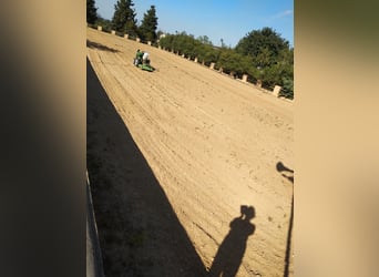 WUNDERSCHÖNE, HOCHWERTIGE REITANLAGE MIT EXCLUSIVER VILLA & VIEL LAND