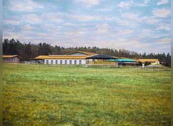 XXL-Reitsportanlage für den großen Sport in Franken V14177 – provisionsfrei