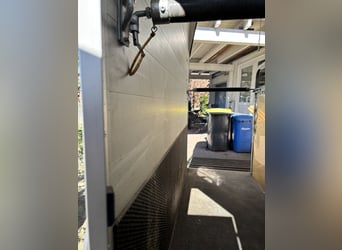 Alu 2er Pferdeanhänger NEUWERTIG 